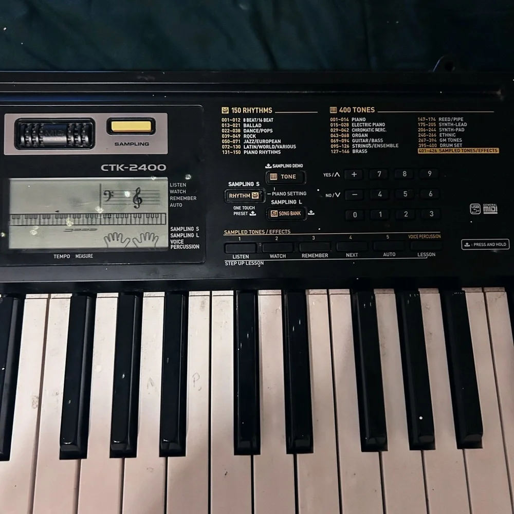 Casio Black and White Electronic Keyboard